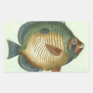 Sticker Rectangulaire Grand Poisson Coloré