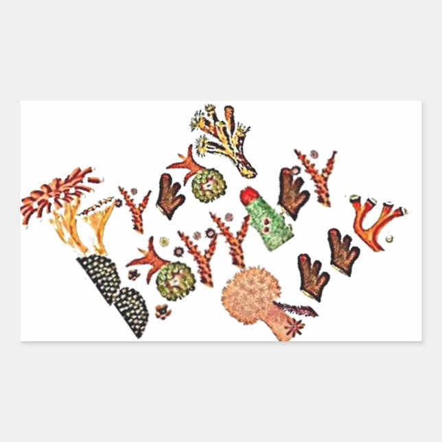 Sticker Rectangulaire Grande Barrière De Corail, (Devant)