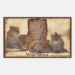 Sticker Rectangulaire Grande carte cinq de LIONS AFRICAINS des