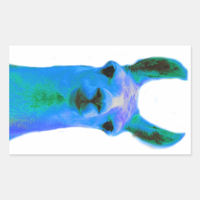 Sticker Rectangulaire Graphique de lama bleu (Devant)