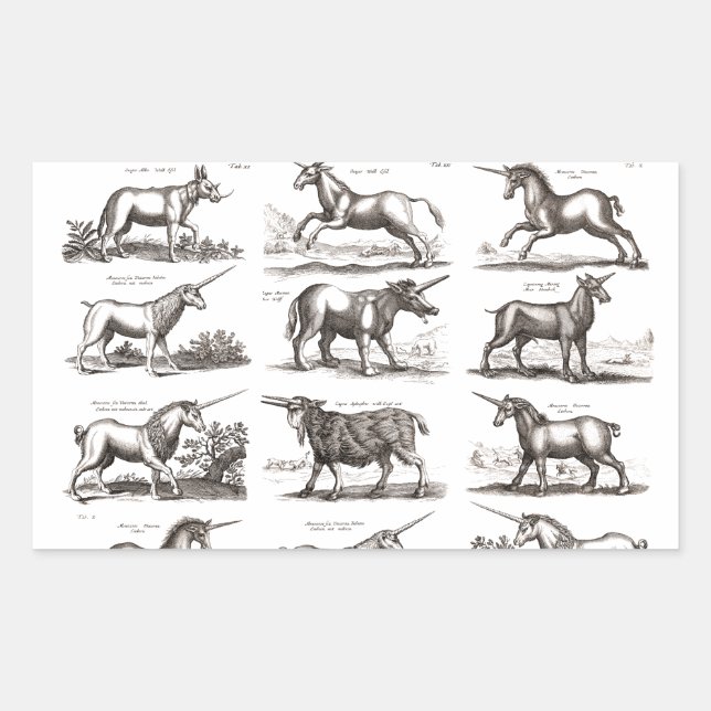 Sticker Rectangulaire Gravure de Licorne Antique Spécimen de Zoologie Vi (Devant)