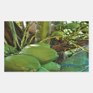 Sticker Rectangulaire Green Island Cocout Palm Tree