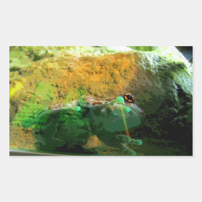 Sticker Rectangulaire Grenouille Escalade CB (Devant)