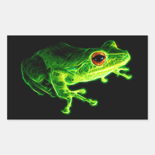 Sticker Rectangulaire Grenouille verte