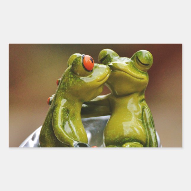 Sticker Rectangulaire Grenouilles Heureuses (Devant)