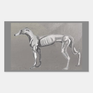 Sticker Rectangulaire Greyhound