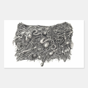 Sticker Rectangulaire Grotesque numéro 1, plat