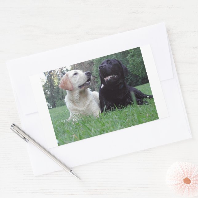 Sticker Rectangulaire groupe d'extraction du labrador (Enveloppe)