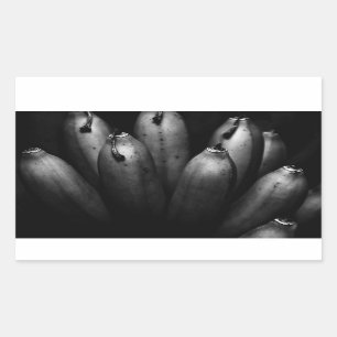 Sticker Rectangulaire groupe divertissant