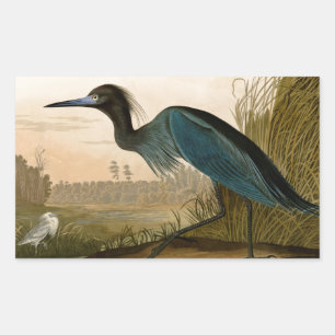 Sticker Rectangulaire Grue bleue Héron Impression Audubon Art côtier