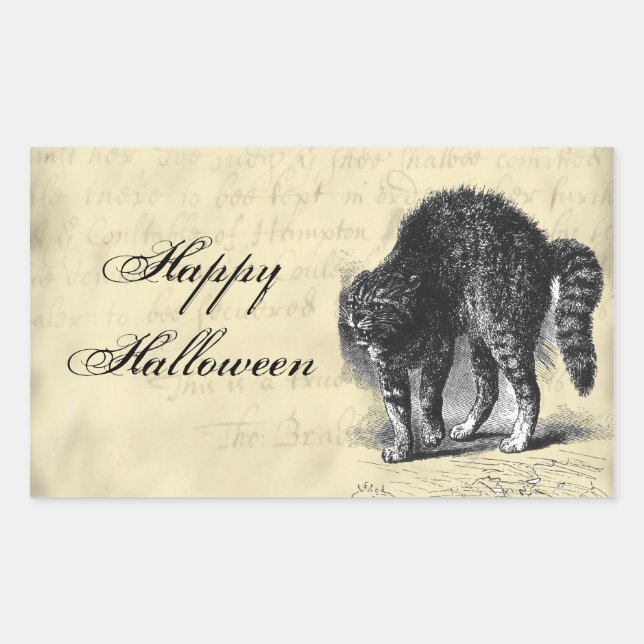 Sticker Rectangulaire Halloween de chat pétrifié (Devant)