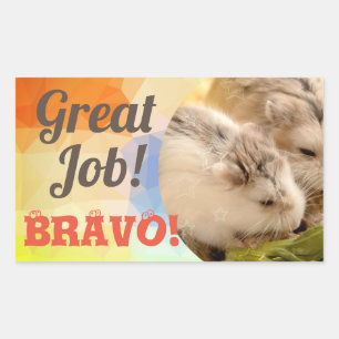 Sticker Rectangulaire HammyVille - Cute Hamster Great Job Bravo