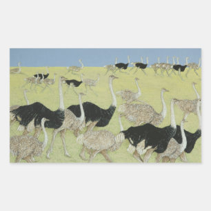 Sticker Rectangulaire Heure de pointe