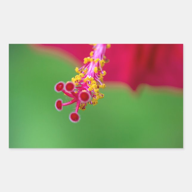 Sticker Rectangulaire hibiscus (Devant)