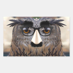 Sticker Rectangulaire Hibou Groucho Marx
