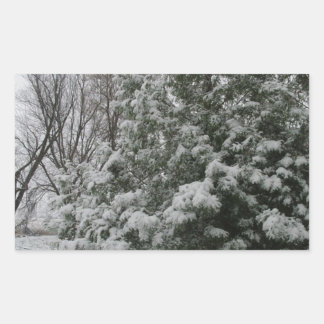 Sticker Rectangulaire Hiver Wonderland Pine Tree avec neige automne
