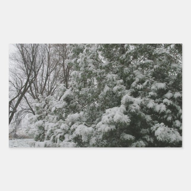 Sticker Rectangulaire Hiver Wonderland Pine Tree avec neige automne (Devant)