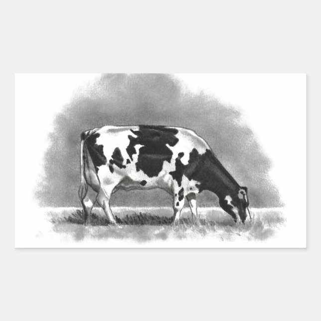 Sticker Rectangulaire Holstein Cow Grazing: Réaliste Pencil Drawing (Devant)