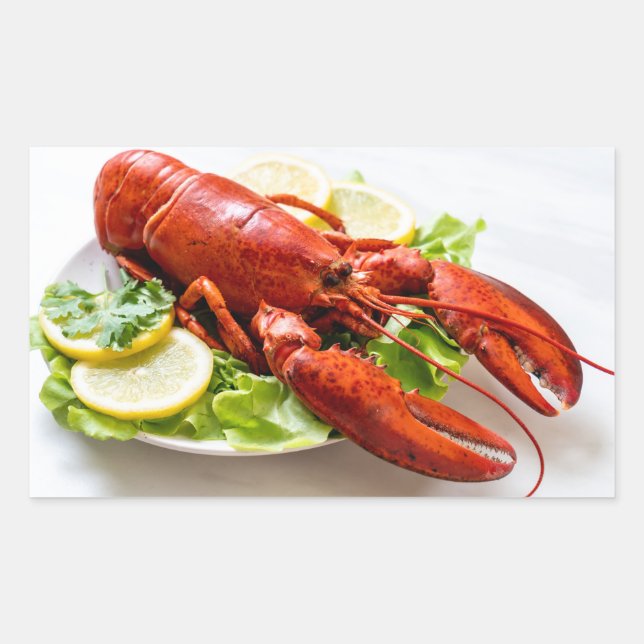 Sticker Rectangulaire Homard (Devant)
