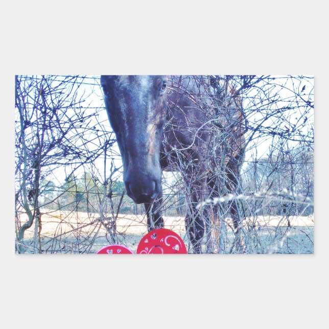 Sticker Rectangulaire Horse et heart (Devant)