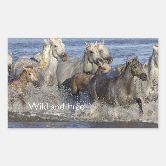 Sticker Rectangulaire Horses galloping in the water (Devant)