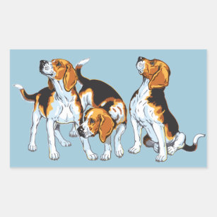 Sticker Rectangulaire Hound beagle