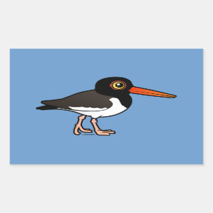 Sticker Rectangulaire Huîtrier américain