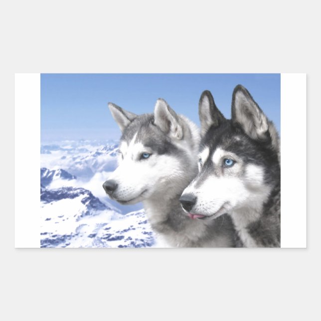 Sticker Rectangulaire Huskies de Sibérie (Devant)