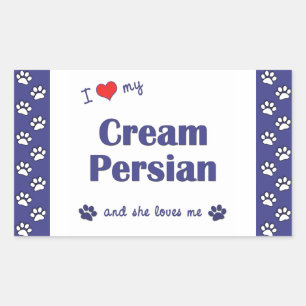 Sticker Rectangulaire I Love My Cream Persian (Female Cat)