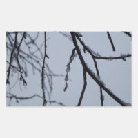 Icy Branches Winter Nature Photographie
