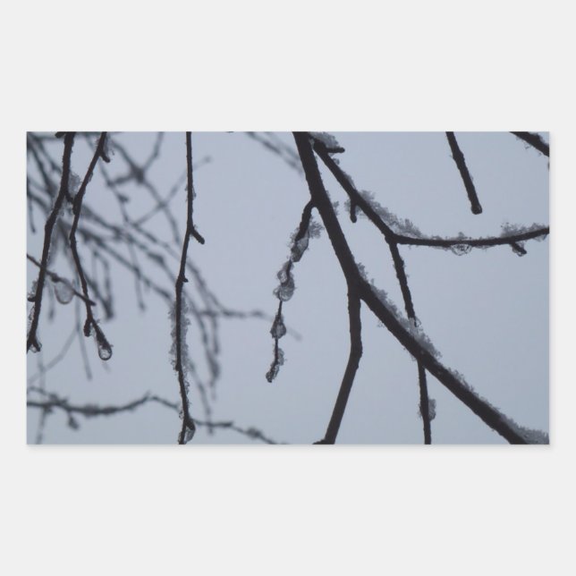 Sticker Rectangulaire Icy Branches Winter Nature Photographie (Devant)