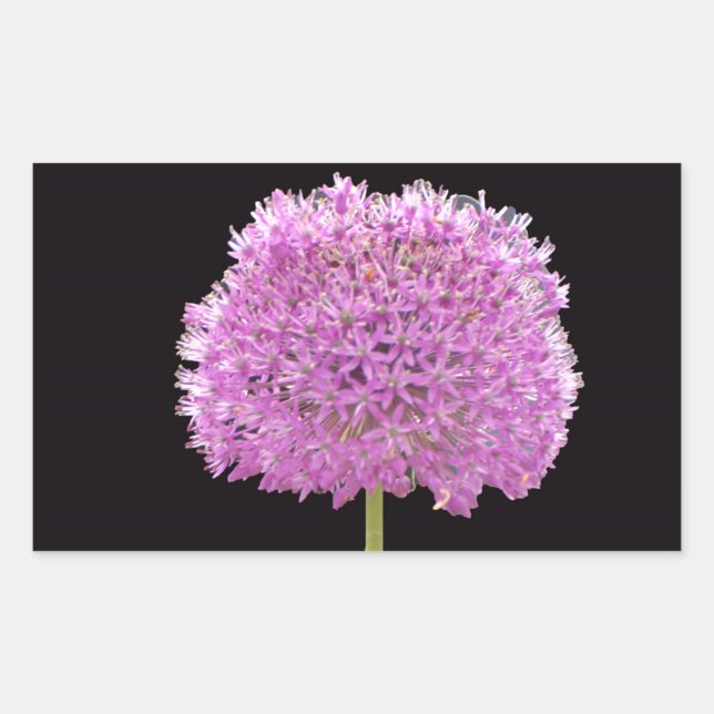 Sticker Rectangulaire Illium Summer Spring Flower - Irish Design (Devant)