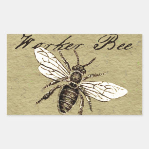 Sticker Rectangulaire Illustration Antique d'Abeille Ouvrière Insecte Vi