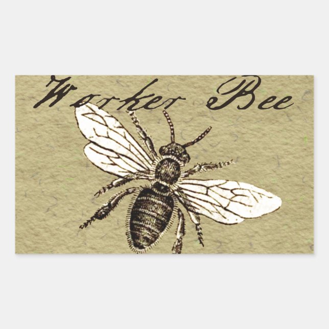 Sticker Rectangulaire Illustration Antique d'Abeille Ouvrière Insecte Vi (Devant)
