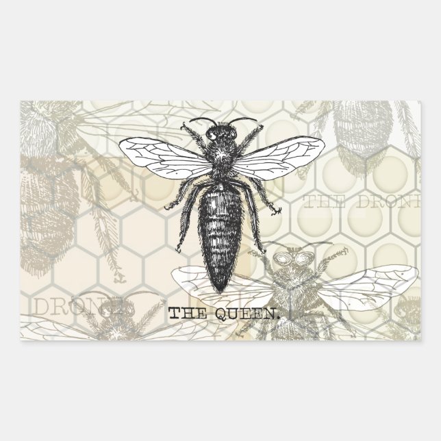 Sticker Rectangulaire Illustration Antique d'Insecte de Bourdon Reine Ab (Devant)