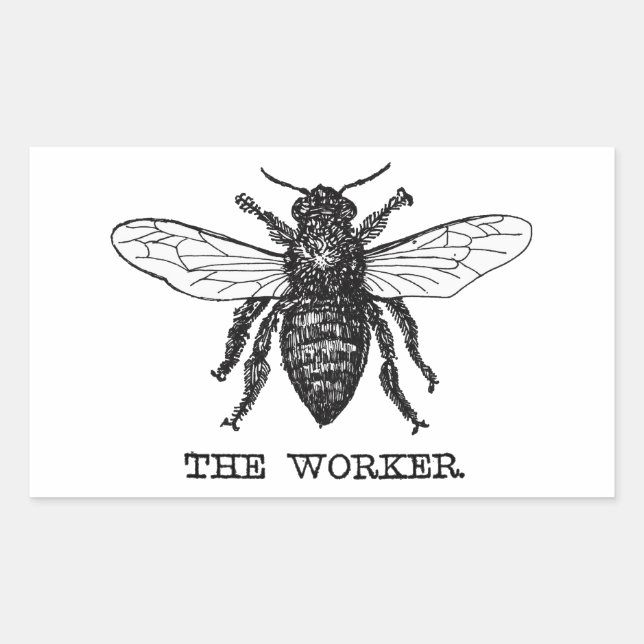 Sticker Rectangulaire Illustration d'abeille ouvrière vintage (Devant)