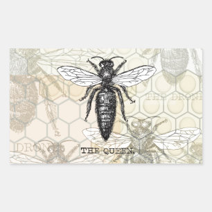 Sticker Rectangulaire Illustration d'antiquité de l'insecte de la reine