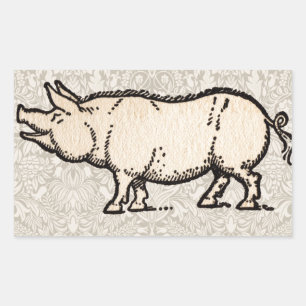 Sticker Rectangulaire Illustration de cochon antique mignon vintage