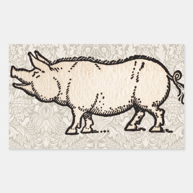 Sticker Rectangulaire Illustration de cochon antique mignon vintage (Devant)