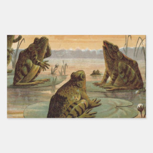 Sticker Rectangulaire Illustration de grenouilles Lily Pads Moon