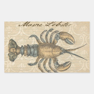 Sticker Rectangulaire Illustration de homard vintage : damas côtier