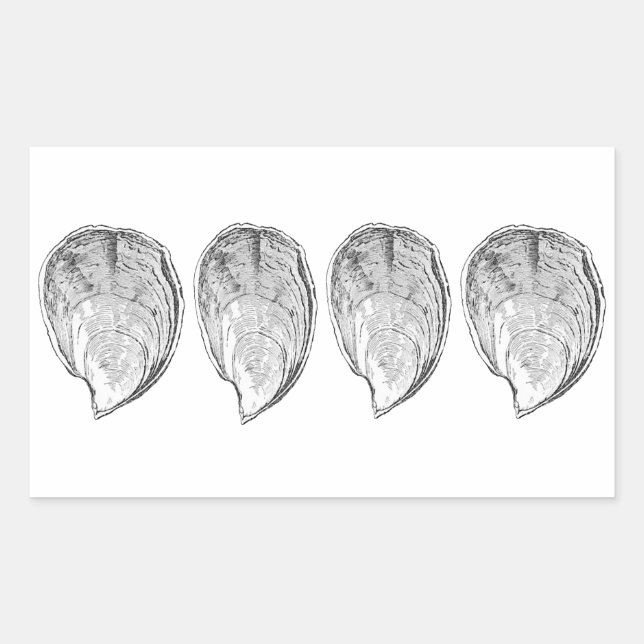 Sticker Rectangulaire Illustration d'Olympia Oysters (Devant)