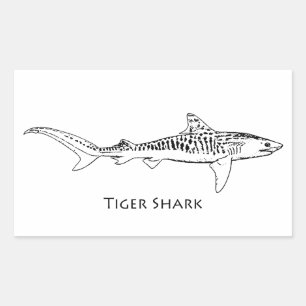 Sticker Rectangulaire Illustration du requin tigre