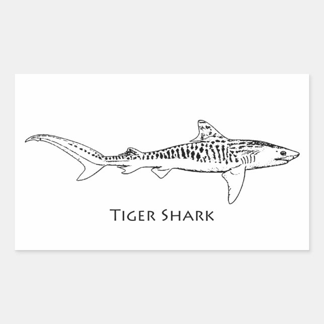 Sticker Rectangulaire Illustration du requin tigre (Devant)