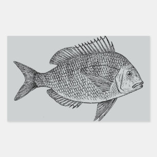 Sticker Rectangulaire Illustration marine de poisson vintage