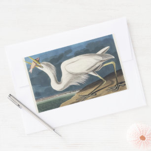 Sticker Rectangulaire Illustration vintage d'Audubon du Grand Héron Blan