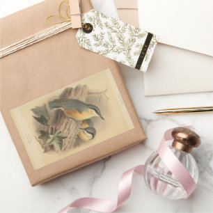 Sticker Rectangulaire Illustration vintage de Nuthatch