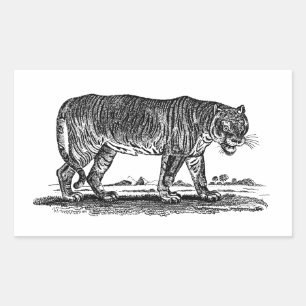Sticker Rectangulaire Illustration vintage du tigre - Tigres des années