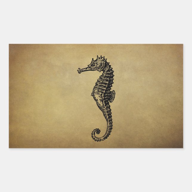 Sticker Rectangulaire Illustration vintage Seahorse (Devant)