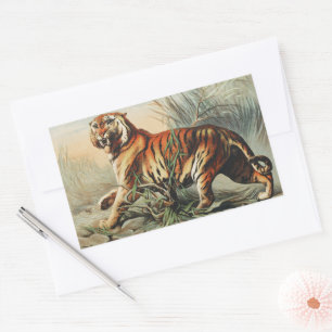 Sticker Rectangulaire Impression d'art naturaliste du tigre royal du Ben